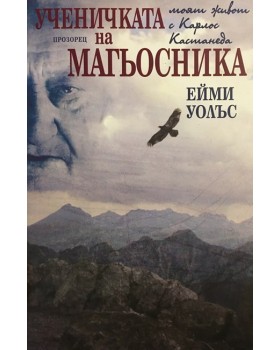 Ученичката на магьосника