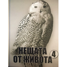 Нещата от живота. Книга 4