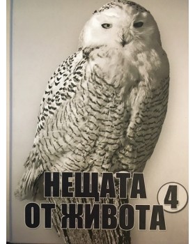 Нещата от живота. Книга 4