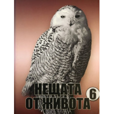 Нещата от живота. Книга 6