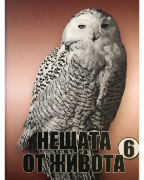 Нещата от живота. Книга 6