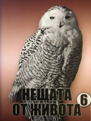 Нещата от живота. Книга 6