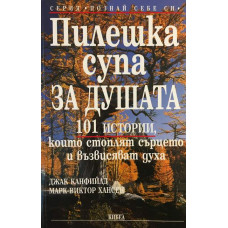 Пилешка супа за душата