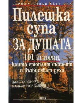 Пилешка супа за душата