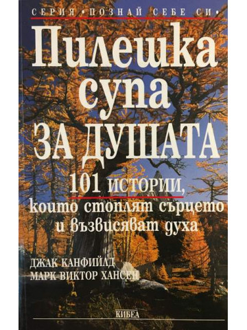 Пилешка супа за душата