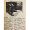 The Original Illustrated Sherlock Holmes
