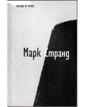 Частица от бурята