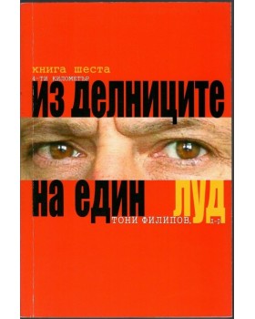 Из делниците на един луд. Книга 6