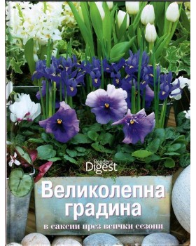 Великолепна градина в саксии през всички сезони Великолепна градина в саксии през всички сезони