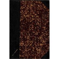 Надъ морето чайки заледени