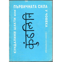 Кундалини шакти, или първичната сила у човека