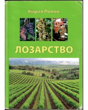Лозарство