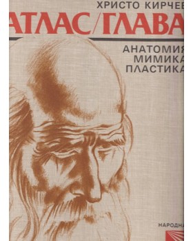 Атлас / Глава Атлас / Глава