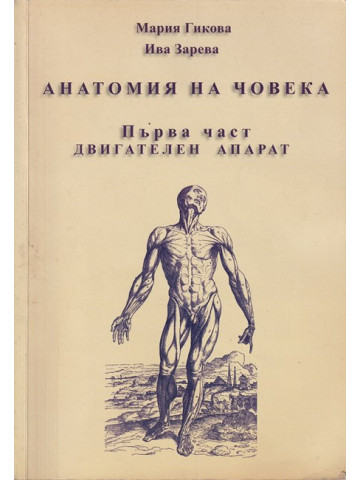 Анатомия на човека. Част 1: Двигателен апарат Анатомия на човека. Част 1: Двигателен апарат