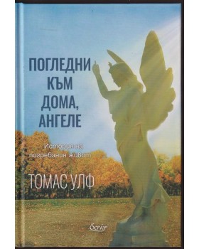 Погледни към дома, ангеле