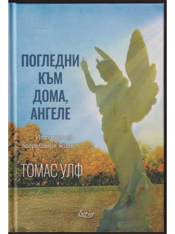 Погледни към дома, ангеле Погледни към дома, ангеле