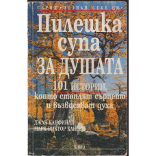 Пилешка супа за душата