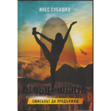Отвъд волята. Смисълът да продължиш
