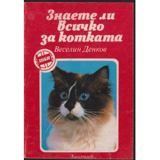 Знаете ли всичко за котката