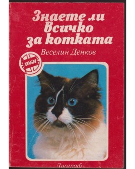 Знаете ли всичко за котката Знаете ли всичко за котката
