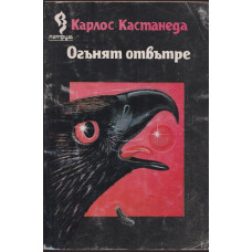 Огънят отвътре Огънят отвътре