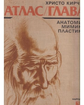 Атлас / Глава Атлас / Глава