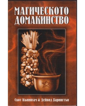 Магическото домакинство