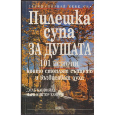 Пилешка супа за душата