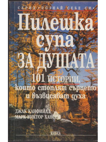 Пилешка супа за душата