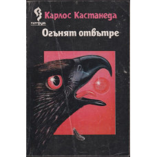 Огънят отвътре Огънят отвътре