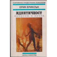 Идентичност, младост и криза