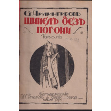 Шинелъ безъ пагони