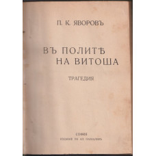 Въ полите на Витоша