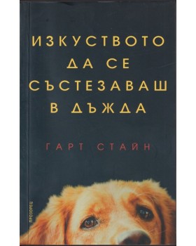 Изкуството да се състезаваш в дъжда Изкуството да се състезаваш в дъжда