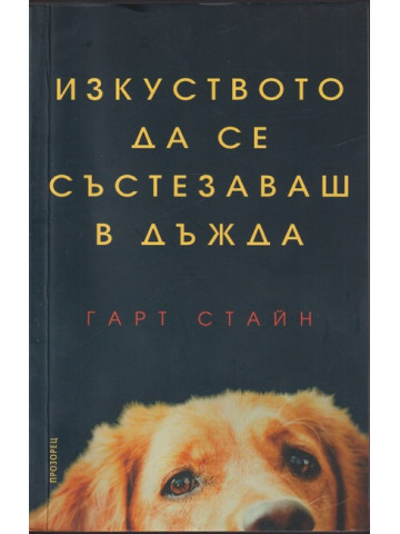 Изкуството да се състезаваш в дъжда