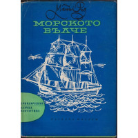 Морското вълче