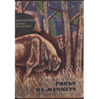 Синът на мечката