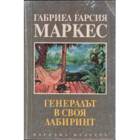 Генералът в своя лабиринт