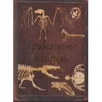 Гръбначните животни