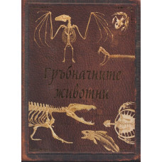 Гръбначните животни