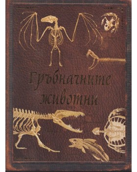 Гръбначните животни