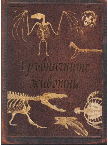 Гръбначните животни