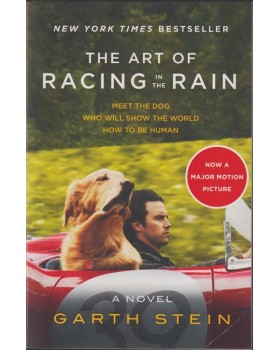 The Art of Racing in the Rain