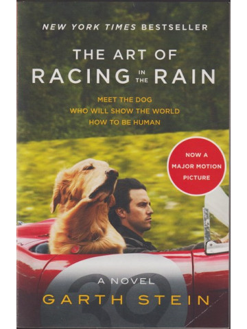 The Art of Racing in the Rain