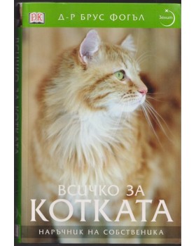 Всичко за котката