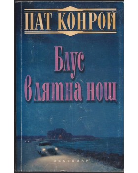 Блус в лятна нощ