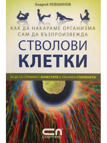 Как да накараме организма сам да възпроизвежда стволови клетки 