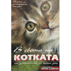 В света на котката от древността до наши дни