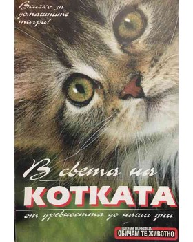 В света на котката от древността до наши дни