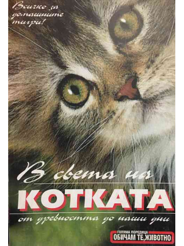 В света на котката от древността до наши дни